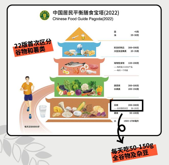 营养减肥餐谷餐_减肥营养餐有用吗_减肥餐营养餐副作用大