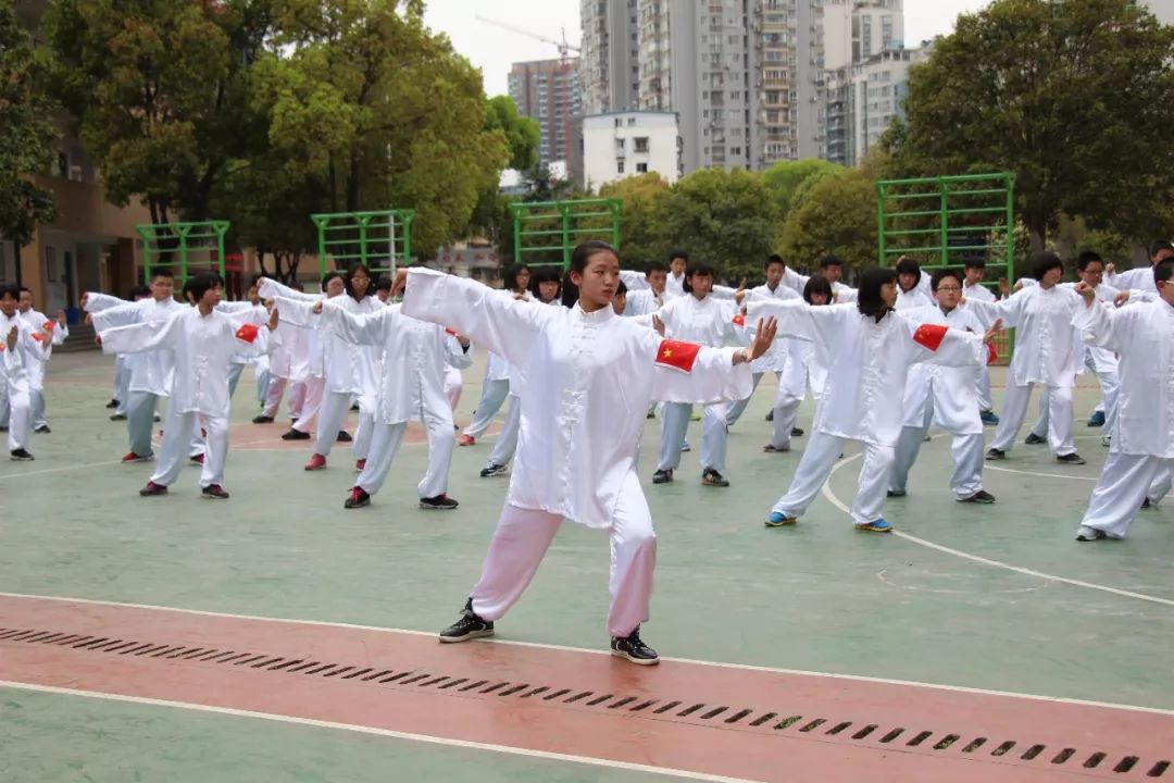 足球女子冠军省运会是第几届_省运会女子足球冠军是谁_全运会女子足球冠军