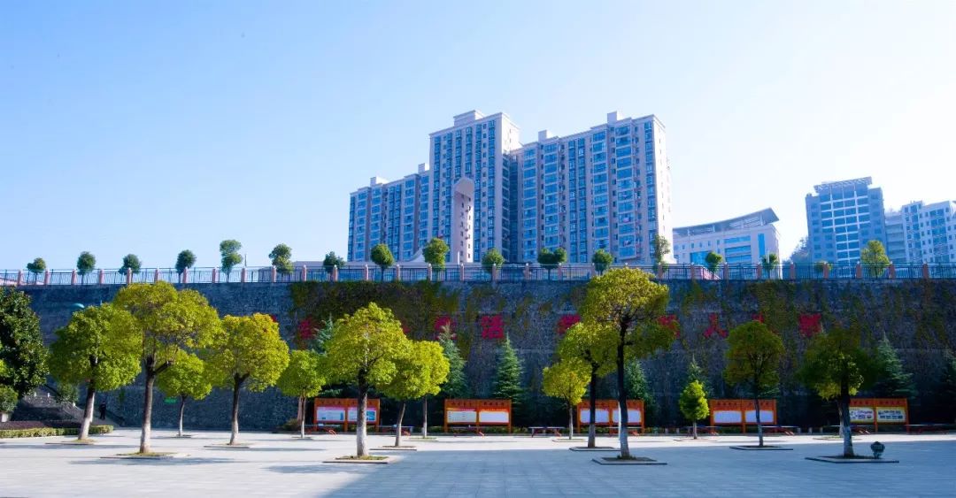 省运会女子足球冠军是谁_全运会女子足球冠军_足球女子冠军省运会是第几届