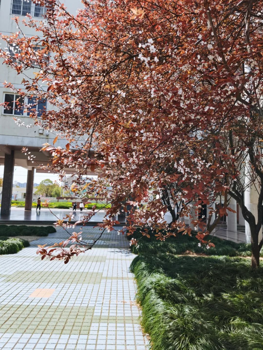 游泳初中技巧女生学好还是学好_初中女孩游泳训练视频_游泳技巧女生学好吗初中
